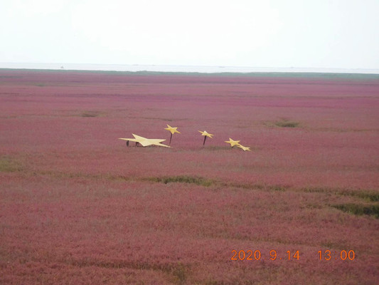 【穿越时空前“满”游】 2. 红海滩,碱蓬草死死生生的红映衬“廊桥爱梦”“稻梦空间”
