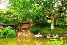 红梅公园-常州-世界美食游走达人