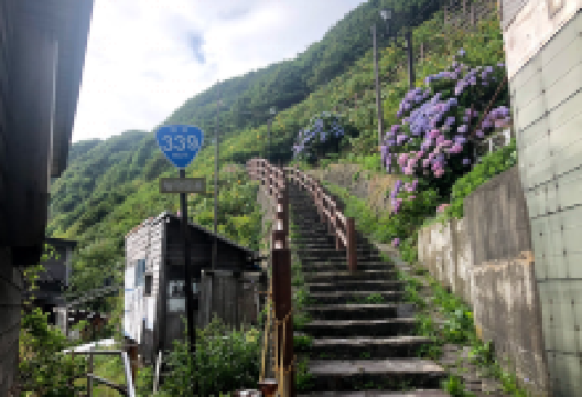 阶段国道339号线 上侧景点图片
