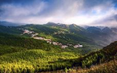 大洞竹海-盘州-C-IMAGE