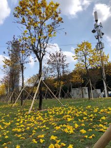 珠江公园-广州-34669294