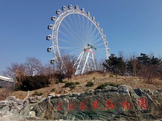 云游四海(1428)冬游大连森林动物园