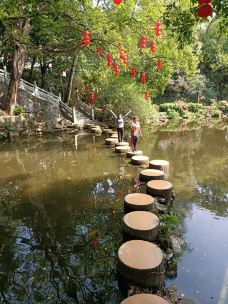 广东罗浮山风景名胜区-博罗-莺语花儿