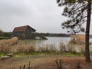 崇明2日自驾游《东滩湿地公园》