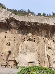卢舍那大佛-洛阳-花果山赛虎