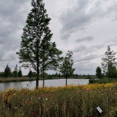 天鹿湖森林公园-广州-zixunshi99