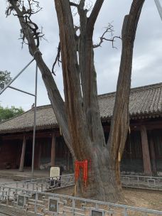 古城三庙-韩城-茧俊