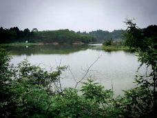 五凤山森林公园-简阳-cdgole