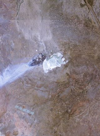 “平底锅计划”：中国人远赴非洲治沙，中国游客被特殊照顾