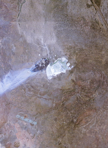 “平底锅计划”：中国人远赴非洲治沙，中国游客被特殊照顾