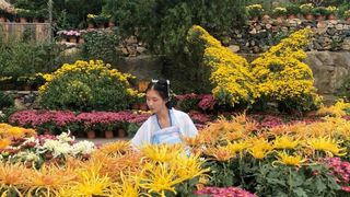 昆玉山嗨玩国庆,菊满金秋