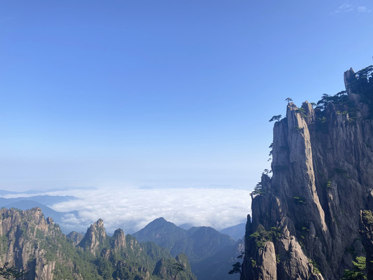 黄山,是新的征程(游记加攻略)
