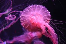 海滨城浩海立方海洋公园-成都-C-IMAGE