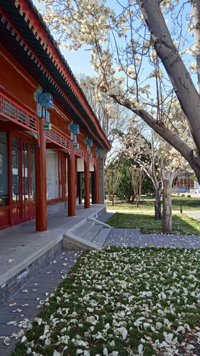 地坛公园旅行图片 2