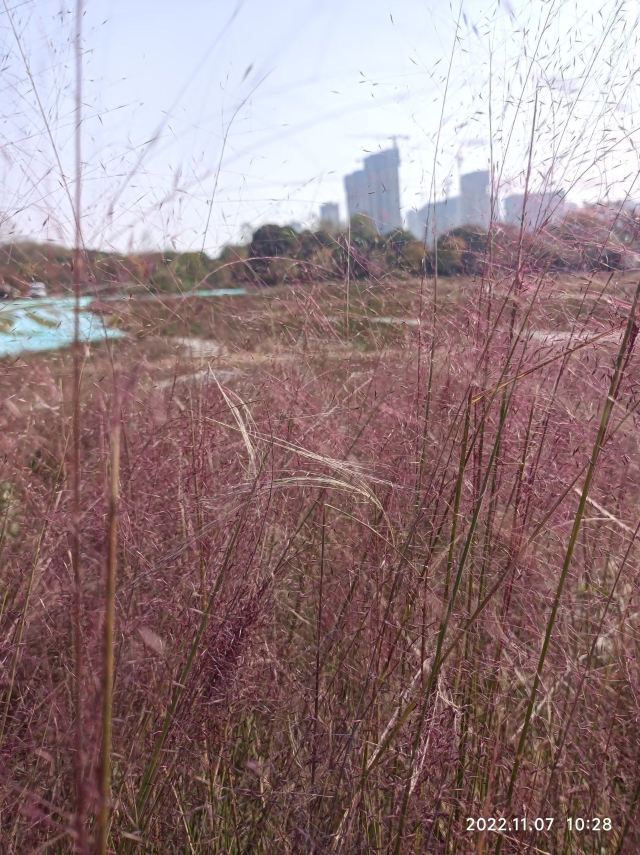 二妃生物公园东苑旅行图片 1