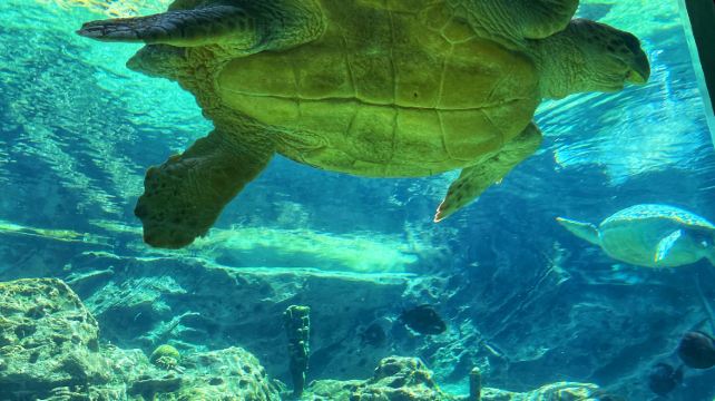 10-Day Orlando Theme Park Tour from Miami·Miami City Tour, Everglades National Park, Key West, Fort Lauderdale, Palm Beach | Small Group Tour of 2-14 Pax | Admission Tickets 