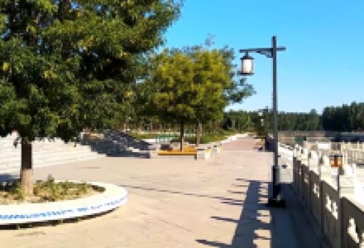 孟村饶安公园景点图片