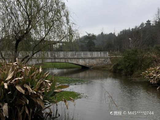 梅林湿地公园