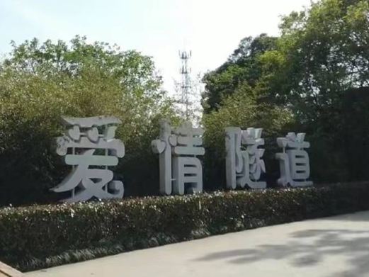 爱情隧道