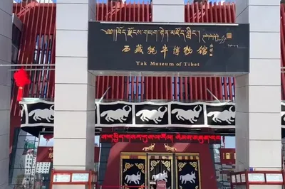 西藏牦牛博物馆