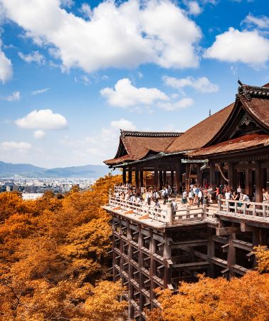 4D3N • Explore Osaka, Kyoto, and Nara with a 3-night stay in Osaka, guaranteed departure even for one person, 24-hour customer service, and your choice of hotel near downtown subway stations.