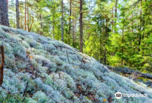 Tiveden National Park景点图片