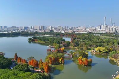 海珠国家湿地公园