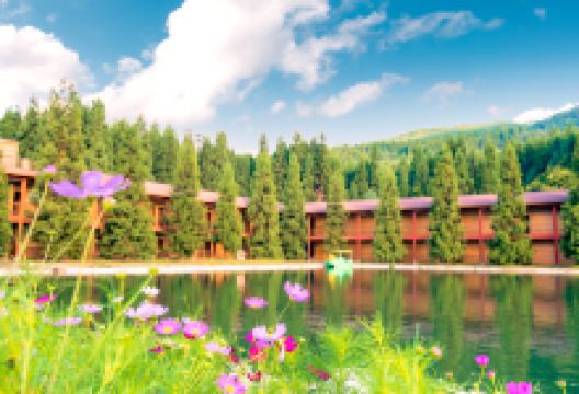 武陵山国家森林公园景点图片