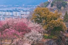 台州府城墙-临海