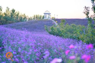 北京自驾1.5小时，密云3处枫林尽染世外桃源，令人如痴如醉