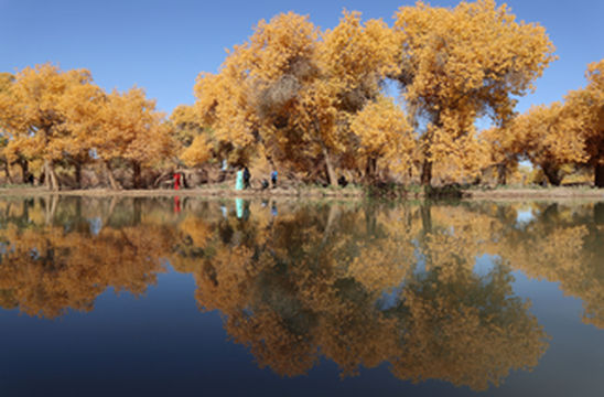 2020内蒙、甘肃、青海秋游记