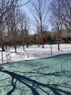 万寿公园-北京-YoYo_6S7W3E3E