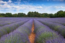 瓦朗索尔高原-瓦朗索勒