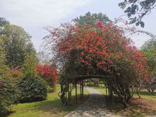 中科院西双版纳热带植物园-勐腊-锴kai10