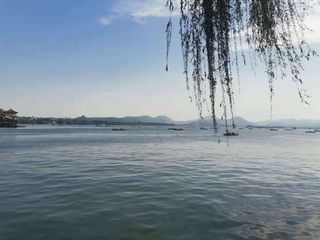 烟雨杭州，错峰乌镇