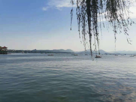 烟雨杭州，错峰乌镇