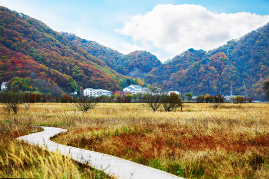 湖北恩施连线神农架，7日游应该怎么玩？详细攻略在这里