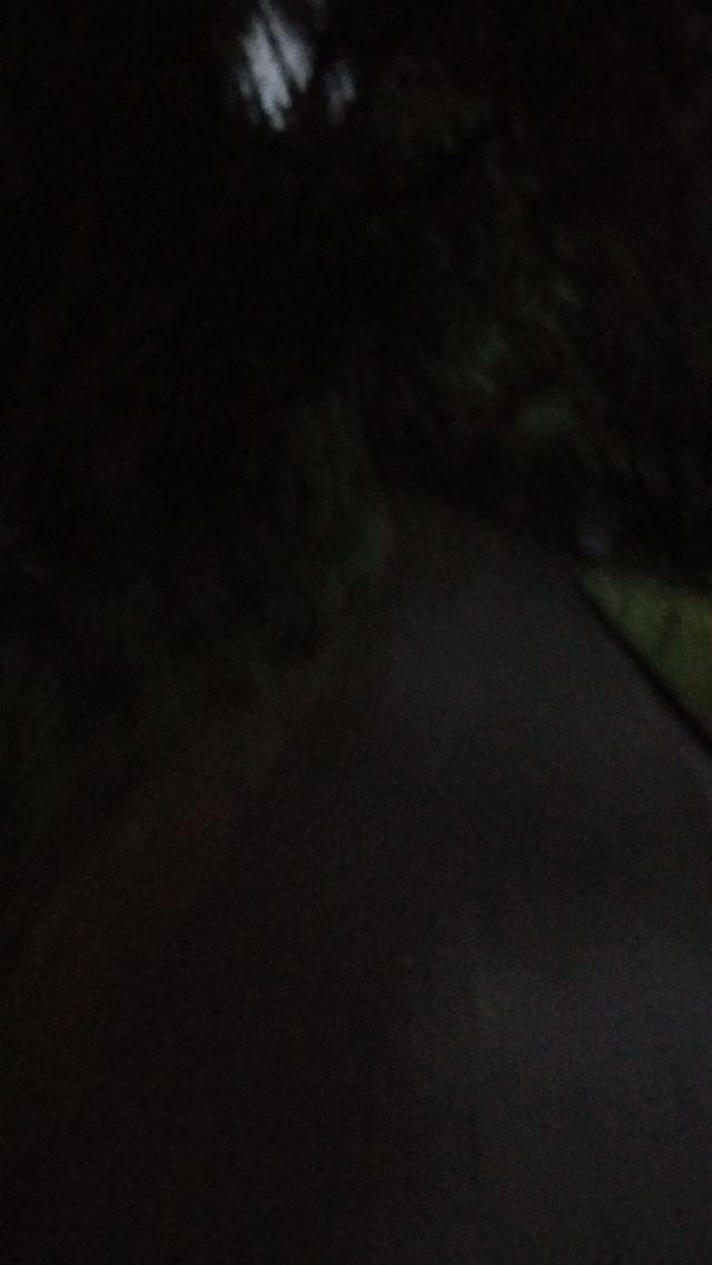漕溪公园旅行图片 3