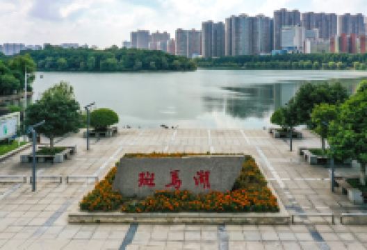 斑马湖景点图片