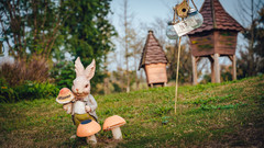 合肥游记图片] 合肥|谁说久居无风景