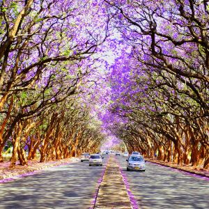 Harare