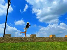 东莞-林小肥12593