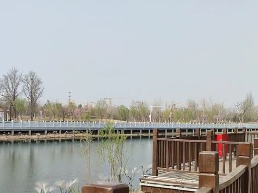 大运河森林生态园