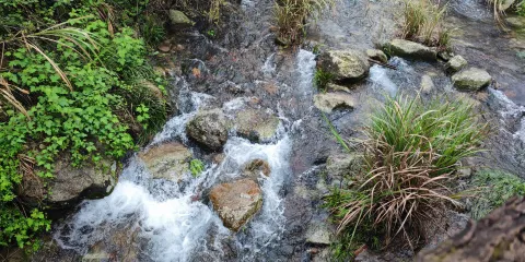 天門山生態遊覽區