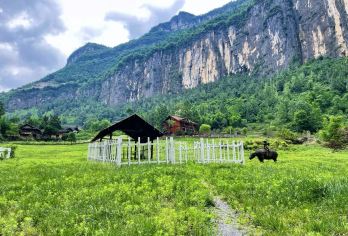 奉节白帝城·瞿塘峡景区+三峡原乡景区一日游【白帝城+旱夔门】【[服务保障]自营，专业定制渝东北旅游10年，让你自由、省心、有保障，无套路完美品质游】
