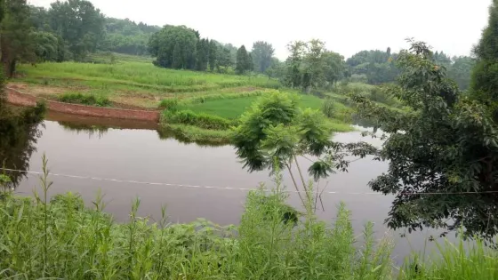 黑竹壩