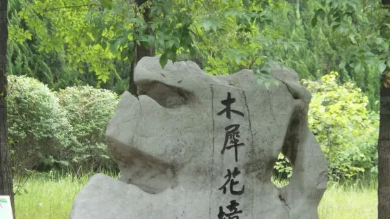 木犀花境