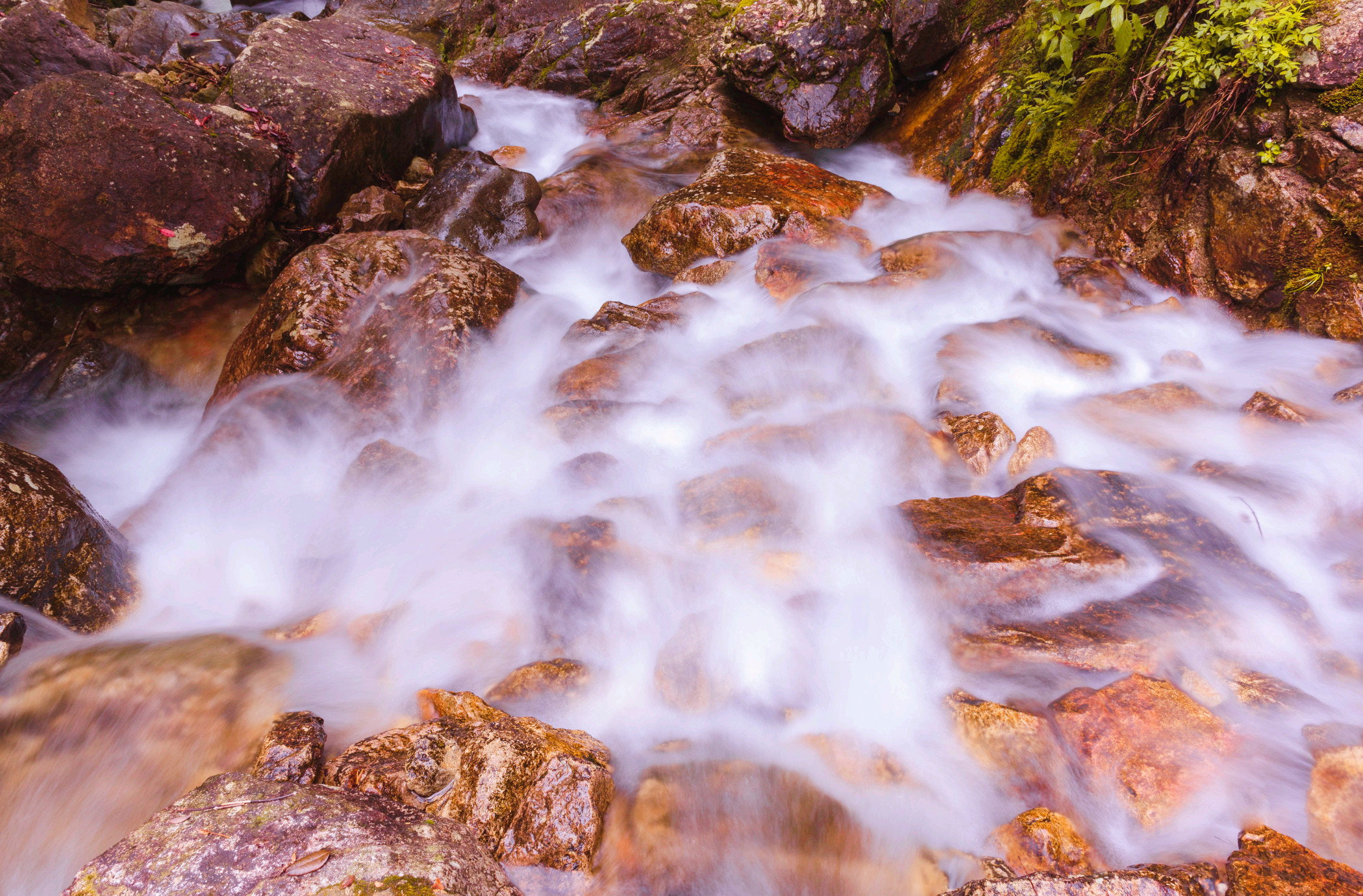3-Day Lishui Tour: Xiandu's scenic beauty and Yunhe Terraces, Ruoliao Forest adventure