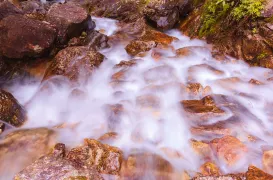 3-Day Lishui Tour: Xiandu's scenic beauty and Yunhe Terraces, Ruoliao Forest adventure