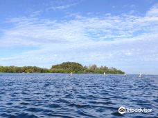 Anclote River Park-霍勒德